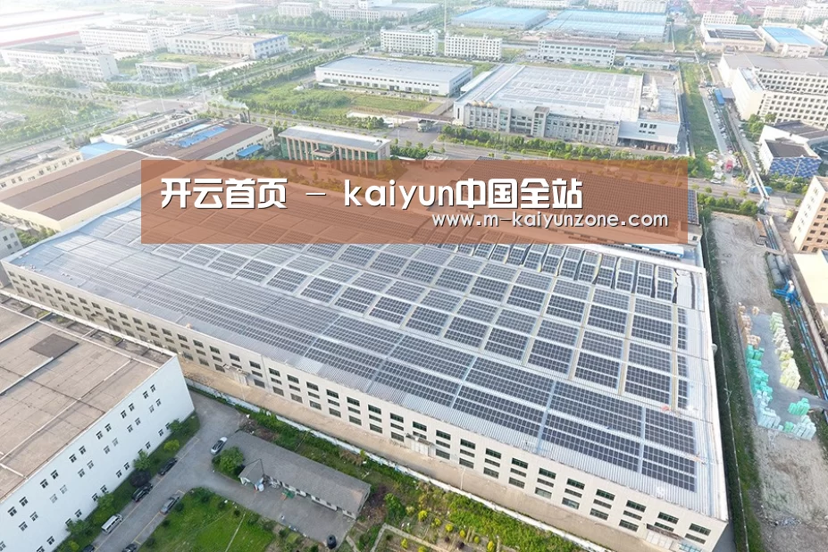 案例展示三