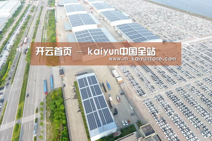 案例展示四