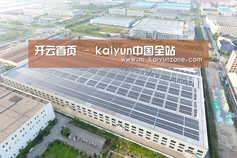 案例展示四
