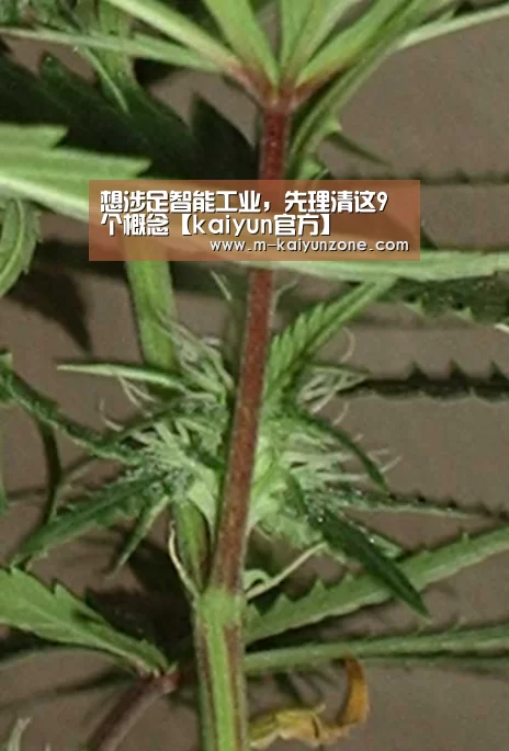 想涉足智能工业，先理清这9个概念【kai
